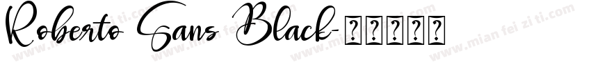 Roberto Sans Black字体转换